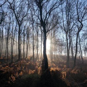 Person stretching towards the morning sun, silhouette against a window.